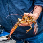 Maine-Lobster-Boat-Demo