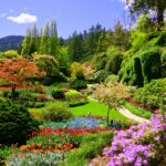 Butchart Gardens, Victoria, Canada. View of the colorful flowers of the sunken garden during spring.