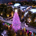 Chicago Christmas Tree